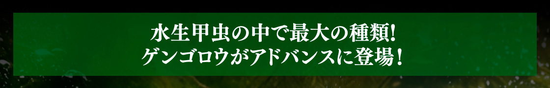 水生甲虫の中で最大の種類！ゲンゴロウがアドバンスに登場！