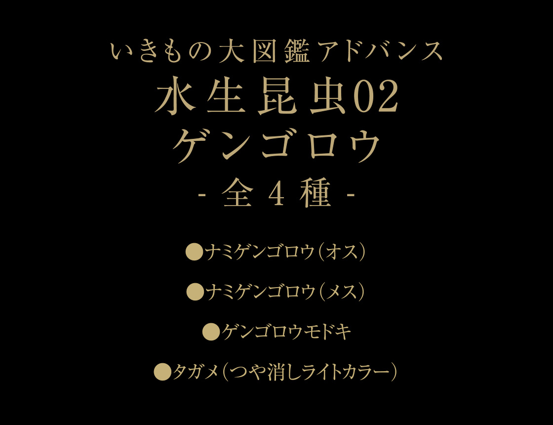 いきもの大図鑑アドバンス 水生昆虫02 ゲンゴロウ -全4種-　ナミゲンゴロウ（オス） / ナミゲンゴロウ（メス） / ゲンゴロウモドキ / タガメ（つや消しライトカラー）