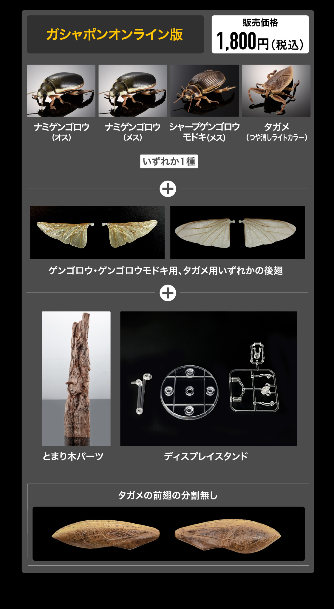 いきもの大図鑑アドバンス 水生昆虫02 ゲンゴロウ ディスプレイ