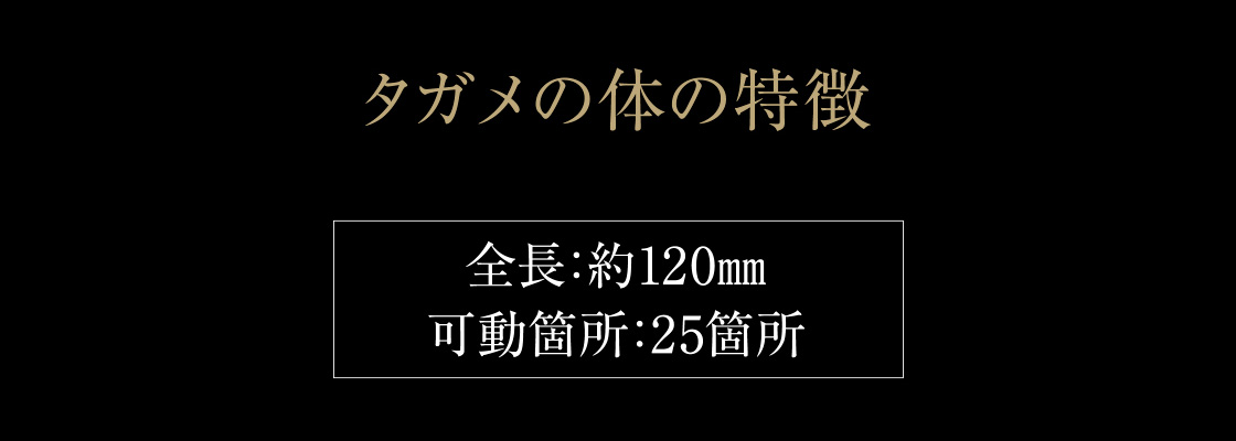 タガメの体の特徴 全長：約120mm 可動箇所：25箇所