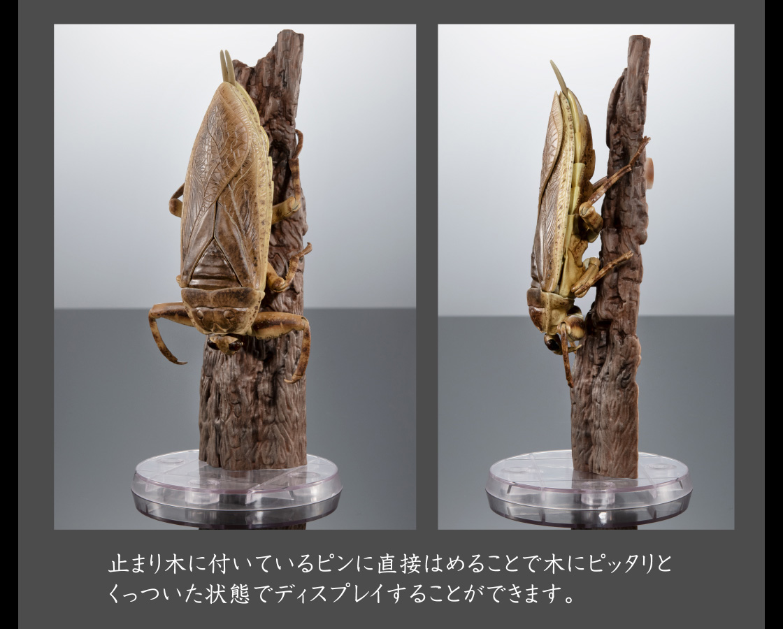 止まり木に付いているピンに直接はめることで木にピッタリとくっついた状態でディスプレイすることができます。