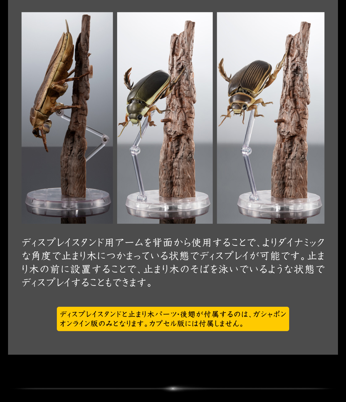 ディスプレイスタンド用アームを背面から使用することで、よりダイナミックな角度で止まり木につかまっている状態でディスプレイが可能です。止まり木の前に設置することで、止まり木のそばを泳いでいるような状態でディスプレイすることもできます。