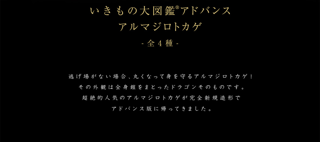 いきもの大図鑑アドバンス アルマジロトカゲ -全4種-