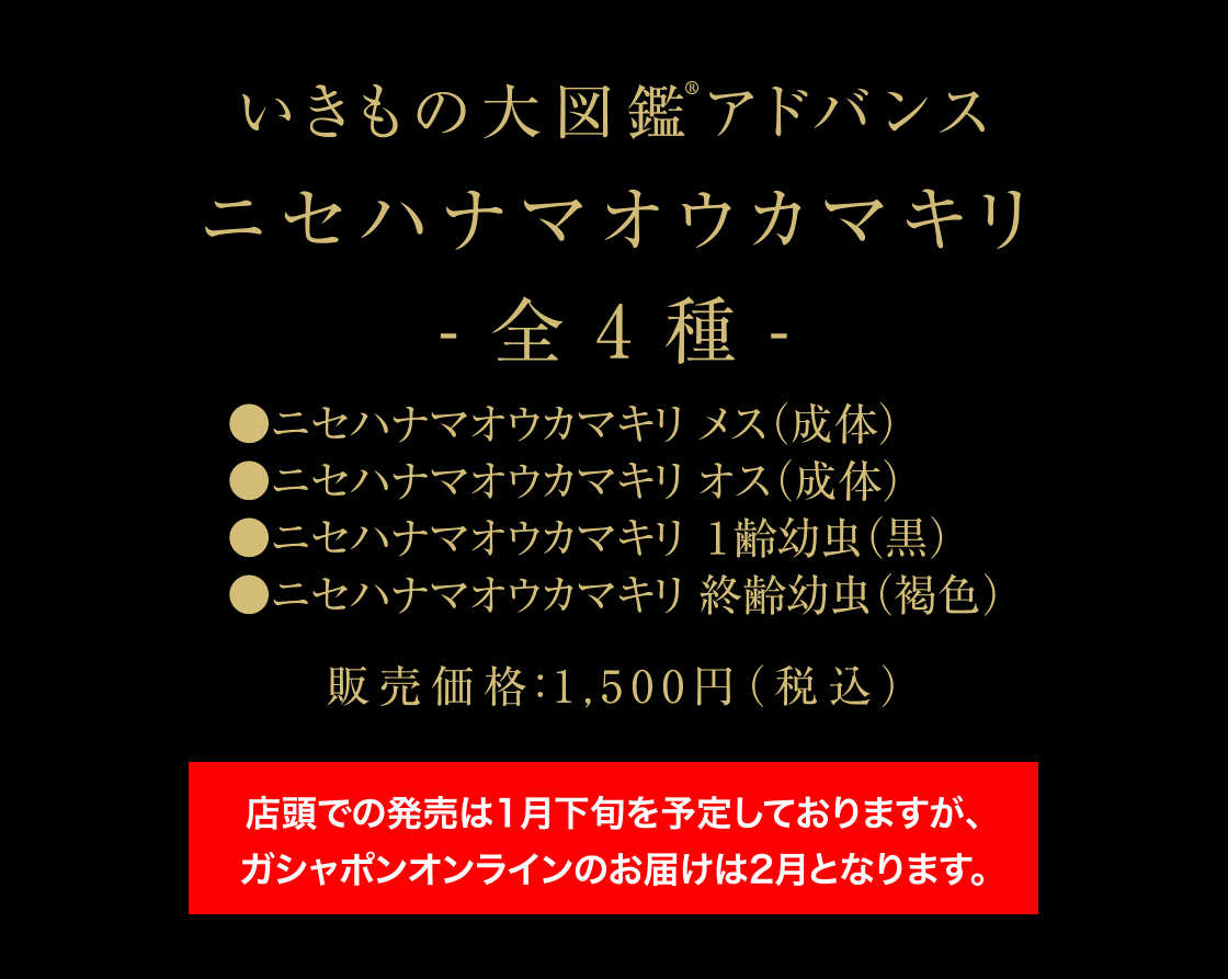 いきもの大図鑑アドバンス　ニセハナマオウカマキリ