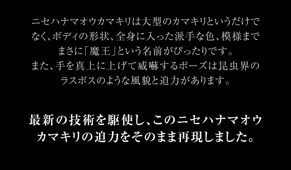ニセハナマオウカマキリ