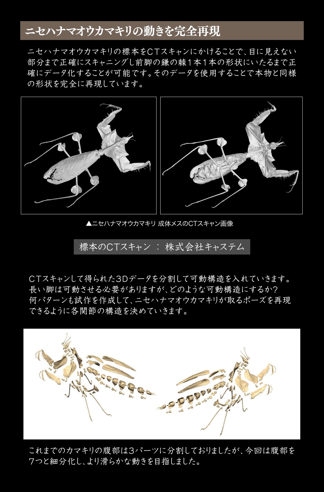 ニセハナマオウカマキリの動きを完全再現