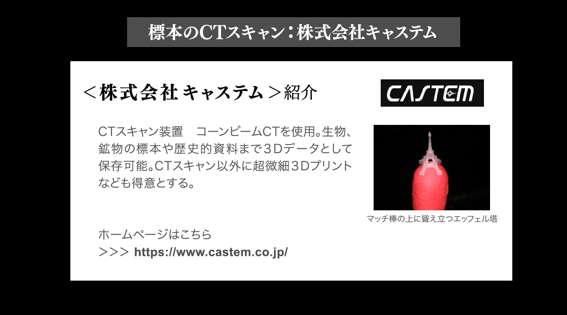 標本のCTスキャン：株式会社キャステム