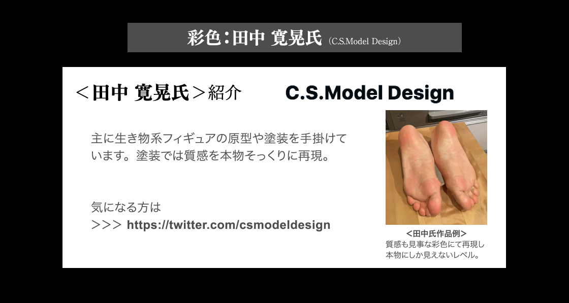 彩色：田中 寛晃氏(C.S.Model Design)