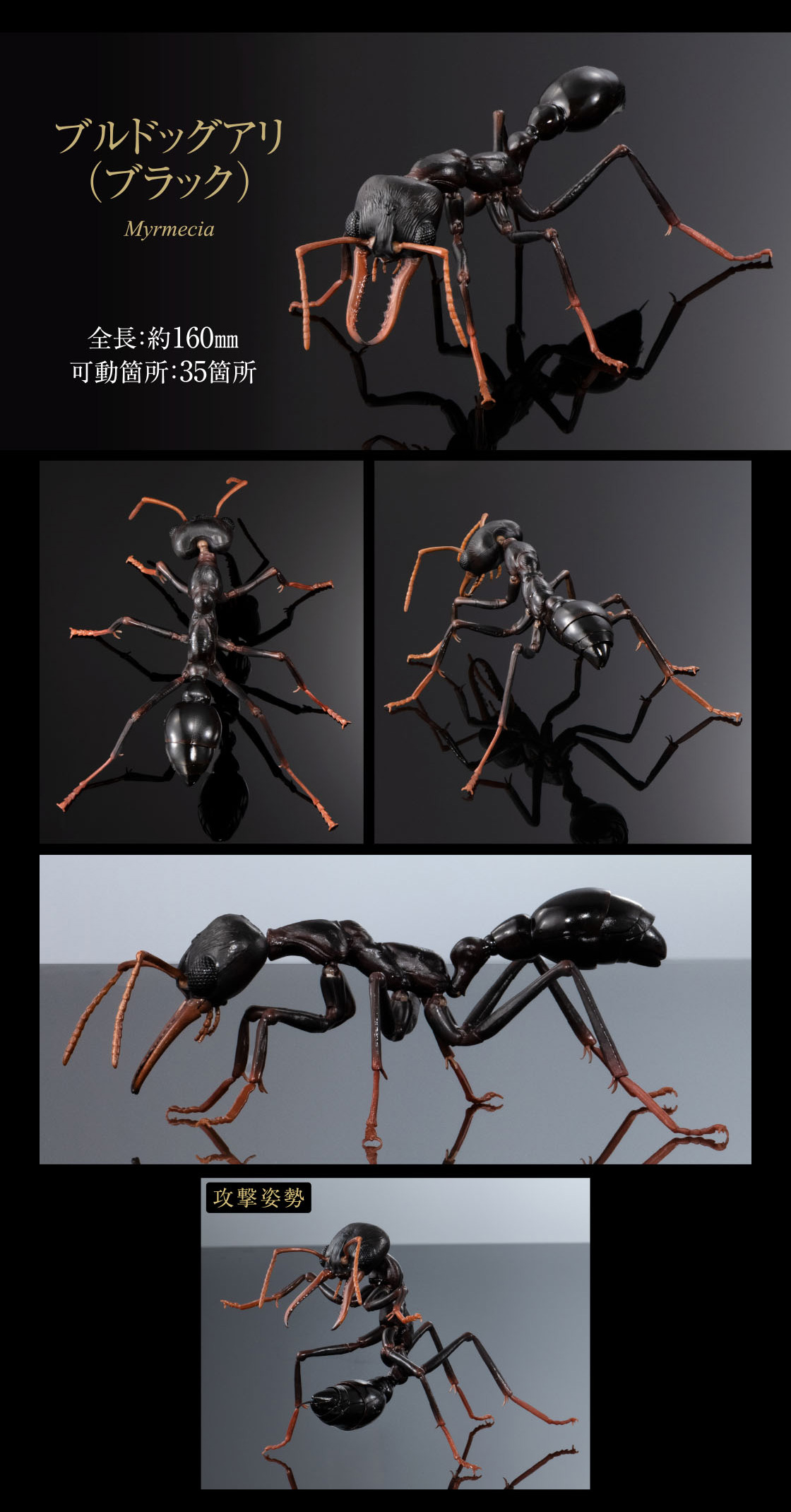 ブルドックアリ(ブラック) 全長：約160mm 可動箇所：35箇所