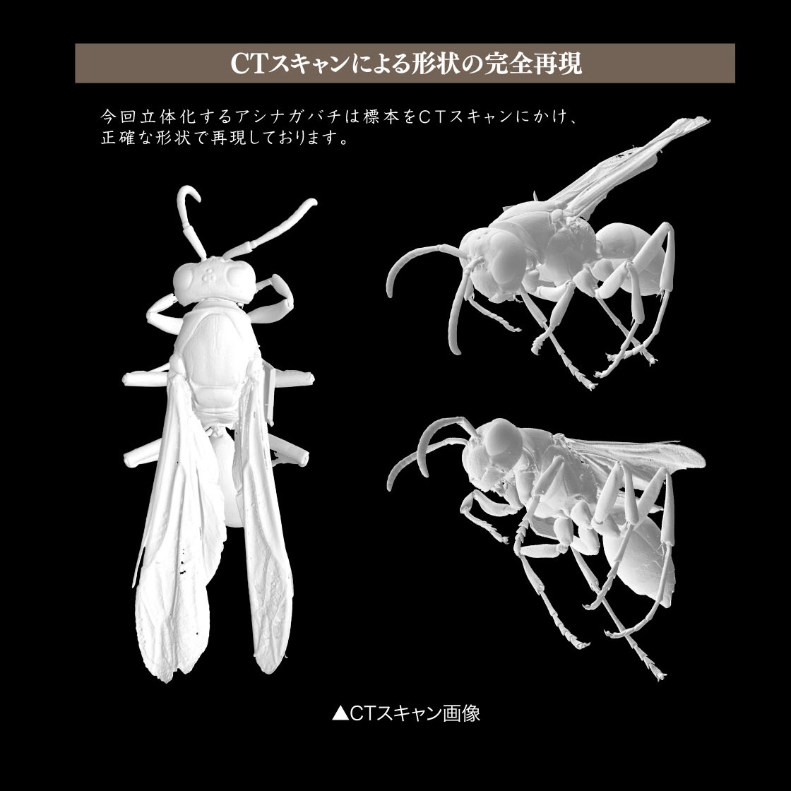 CTスキャンによる形状の完全再現