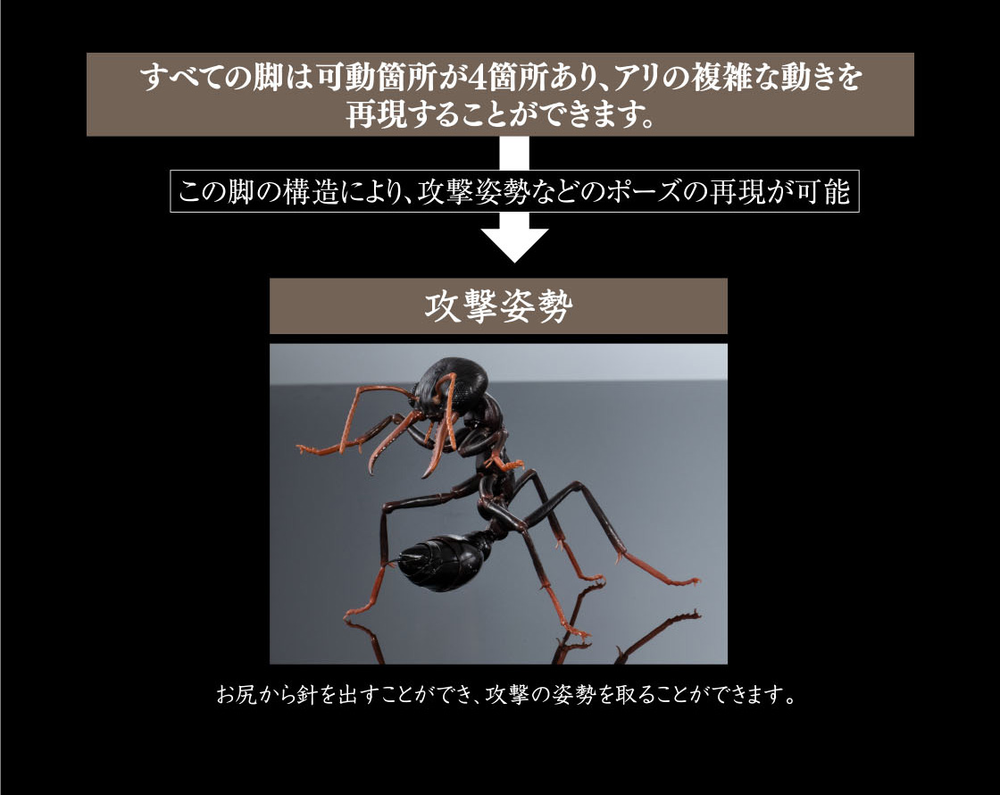 すべての脚は可動箇所が4箇所あり、アリの複雑な動きを再現することができます。