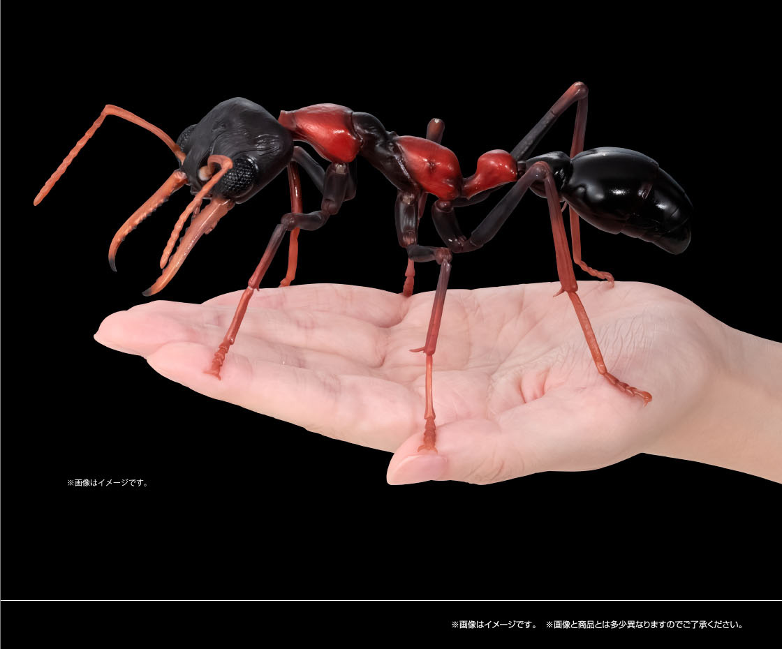 ※画像はイメージです。 ※画像と商品とは多少異なりますのでご了承ください。