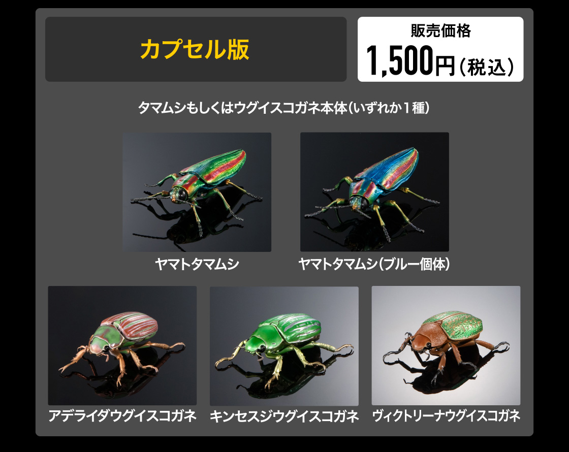カプセル版　販売価格 1,500円(税込)