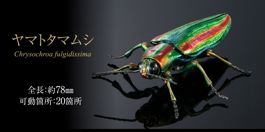 ヤマトタマムシ 全長：約78mm 可動箇所：20箇所