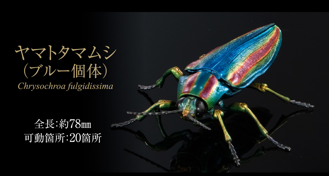 ヤマトタマムシ（ブルー個体） 全長：約78mm 可動箇所：20箇所