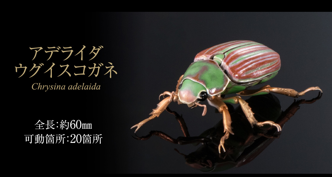 アデライダウグイスコガネ 全長：約60mm 可動箇所：20箇所