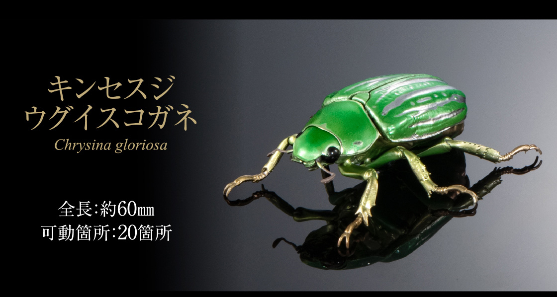 キンセスジウグイスコガネ 全長：約60mm 可動箇所：20箇所