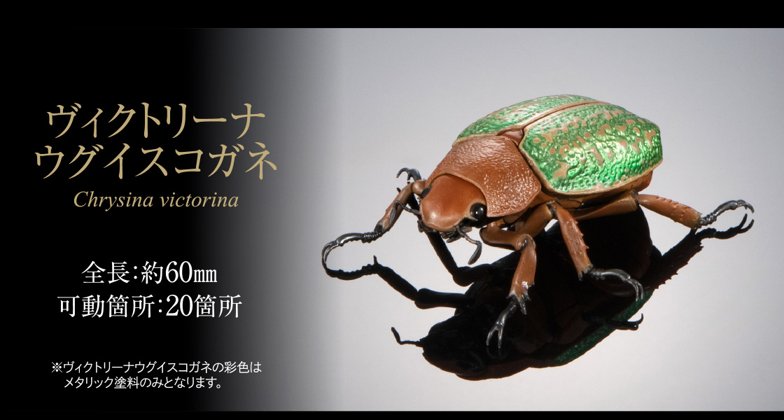 ヴィクトリーナウグイスコガネ 全長：約60mm 可動箇所：20箇所