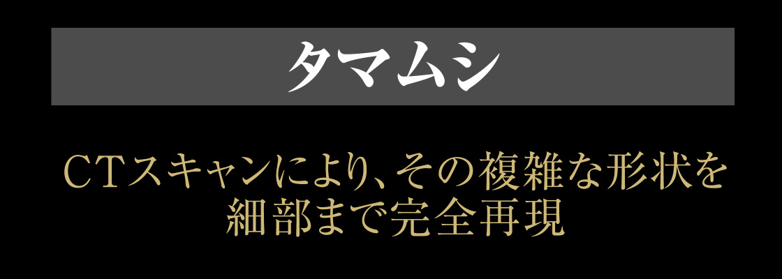 タマムシ CTスキャンにより、その複雑な形状を細部まで完全再現
