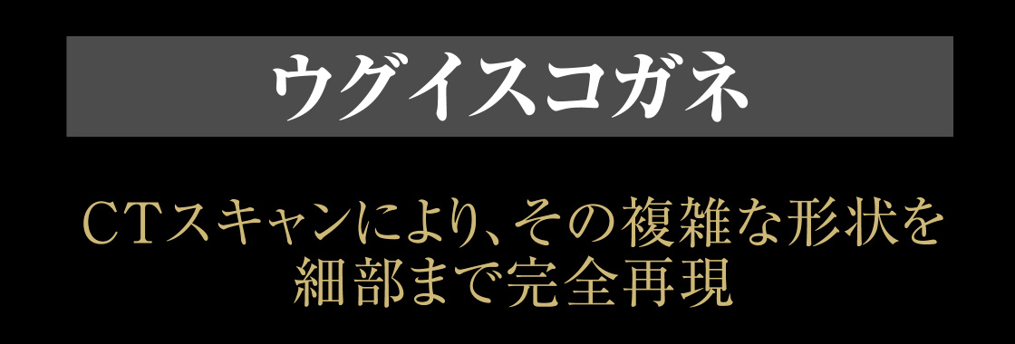 ウグイスコガネ CTスキャンにより、その複雑な形状を細部まで完全再現