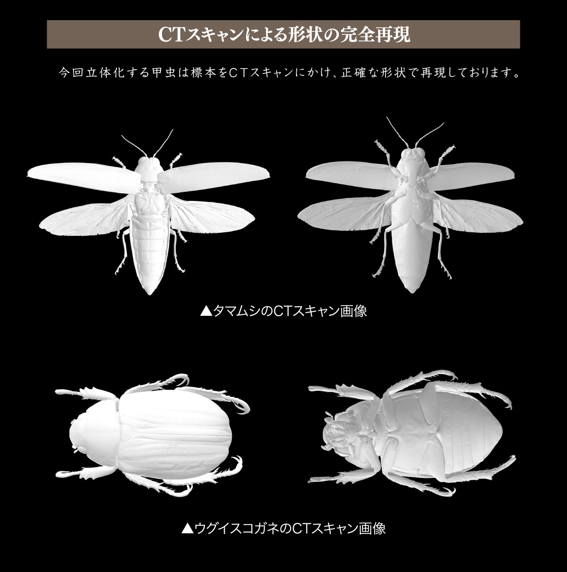 CTスキャンによる形状の完全再現