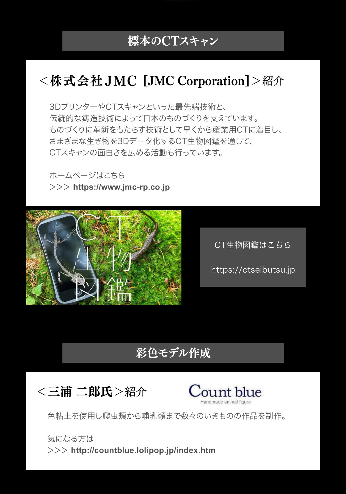 標本のCTスキャン：株式会社JMC　CT生物図鑑はこちら　彩色：三浦二郎氏(Count Blue)