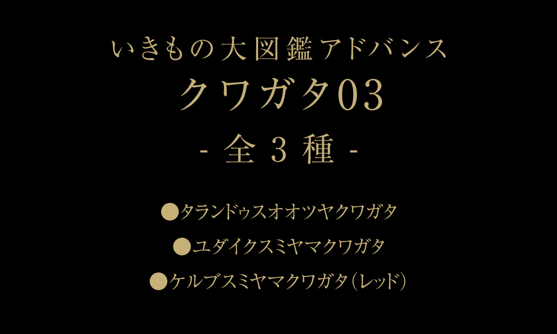 いきもの大図鑑アドバンス　クワガタ03-全3種- ●タランドゥスオオツヤクワガタ ●ユダイクスミヤマクワガタ ●ケルブスミヤマクワガタ（レッド）