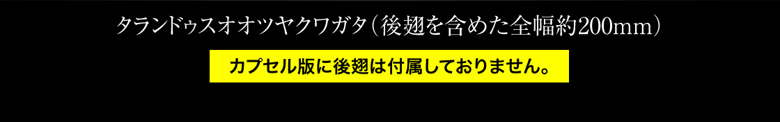 タランドゥスオオツヤクワガタ（後翅を含めた全幅約200mm）