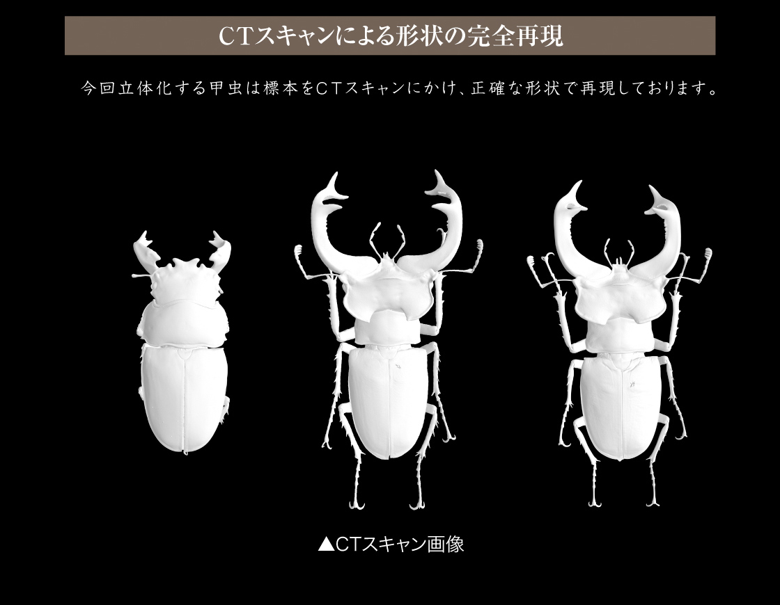 CTスキャンによる形状の完全再現