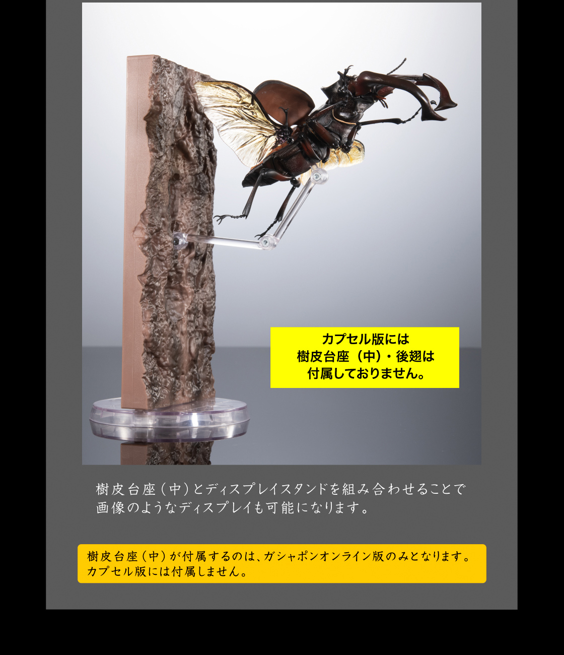 カプセル版には樹皮台座(中)・後翅は付属しておりません。