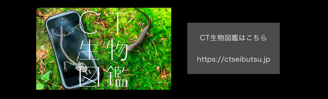 CT生物図鑑はこちら