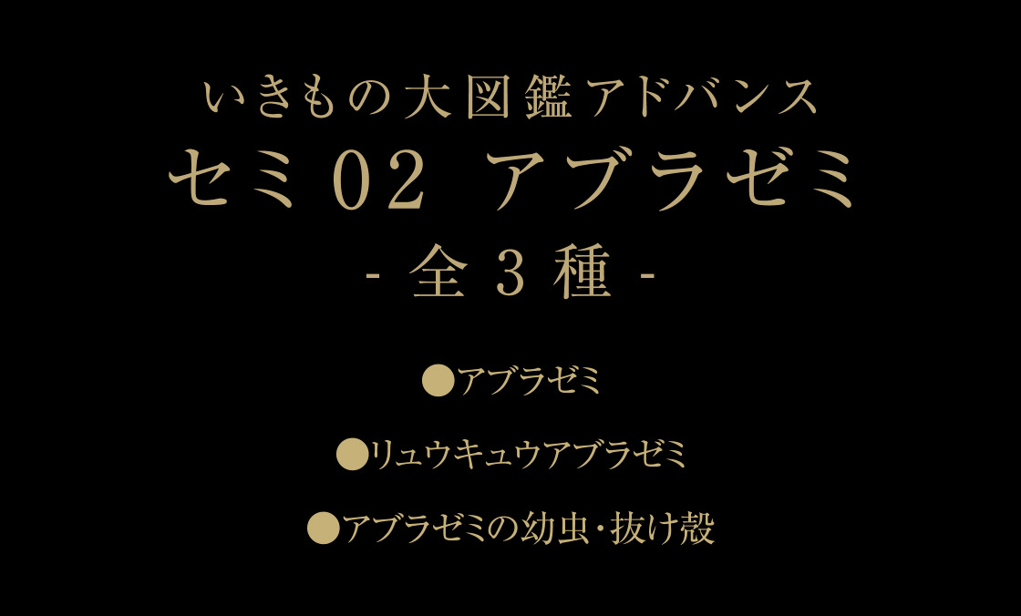 いきもの大図鑑アドバンス セミ02 アブラゼミ -全3種-
