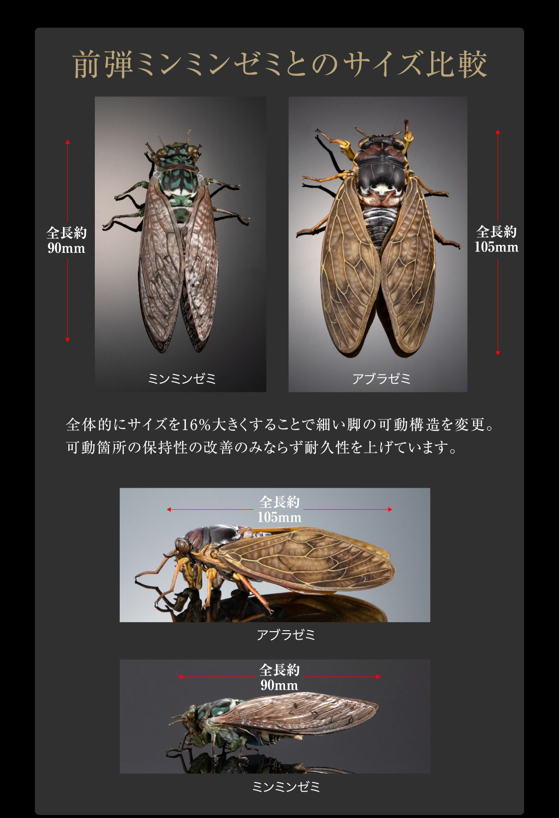 前弾ミンミンゼミとのサイズ比較