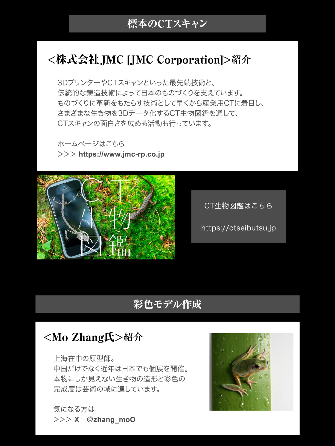 標本のCTスキャン：<株式会社JMC [JMC Corporation]>紹介　CT生物図鑑はこちら　彩色モデル作成：<Mo Zhang氏>紹介