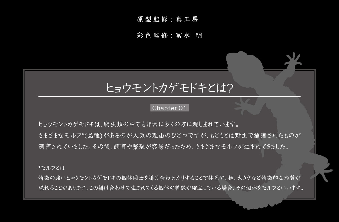 ヒョウモントカゲモドキとは？ Chapter.01