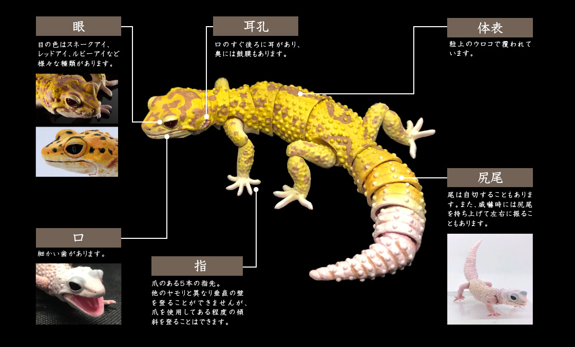 各部詳細