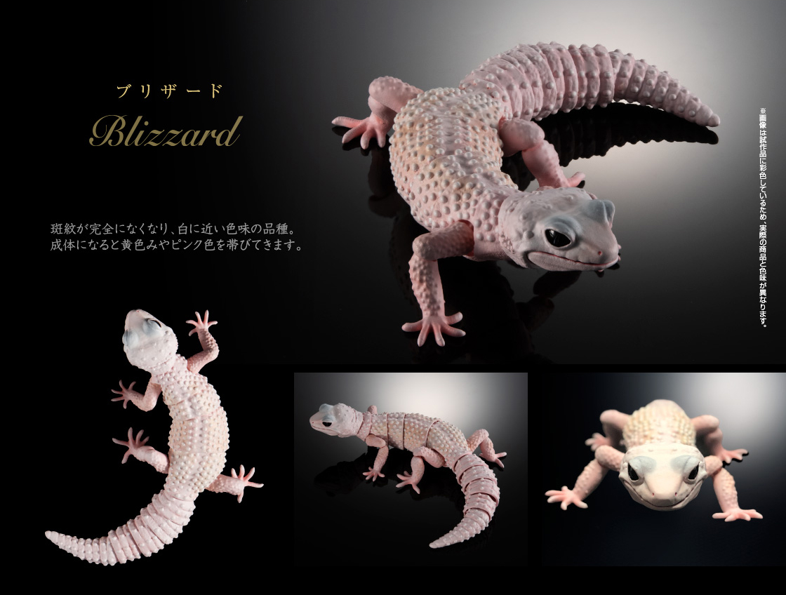 ブリザード