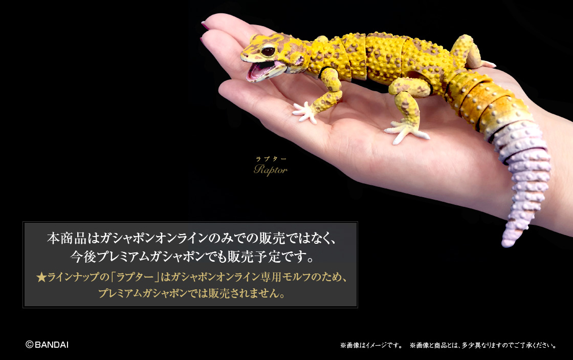 本製品はガシャポンオンラインのみの販売ではなく、今後プレミアムガシャポンでも販売予定です。