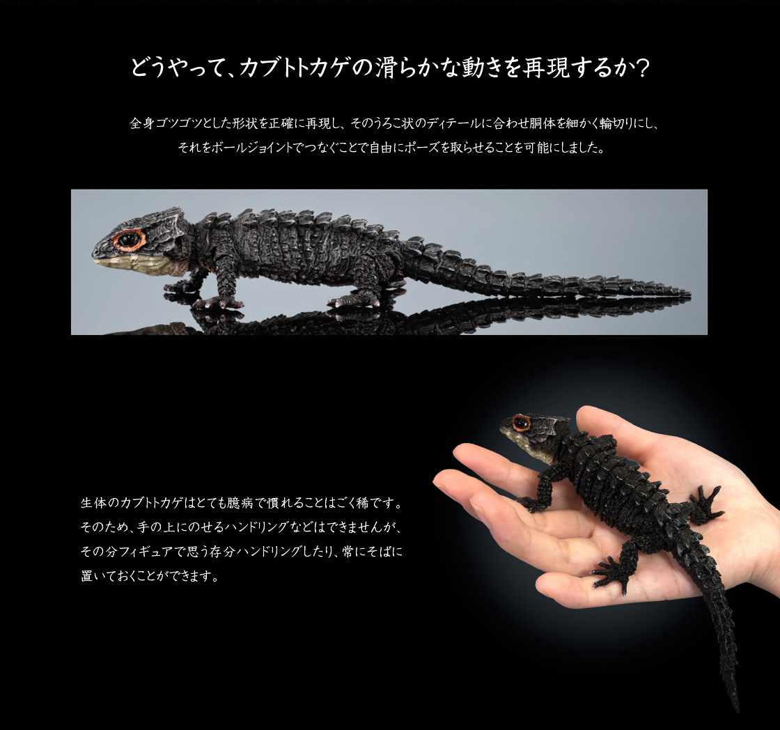 いきもの大図鑑アドバンス アカメカブトトカゲとモトイカブトトカゲ 