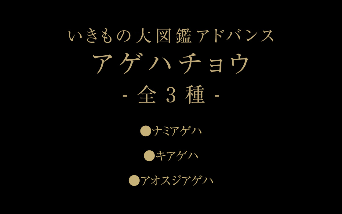 いきもの大図鑑アドバンス アゲハチョウ -全3種-