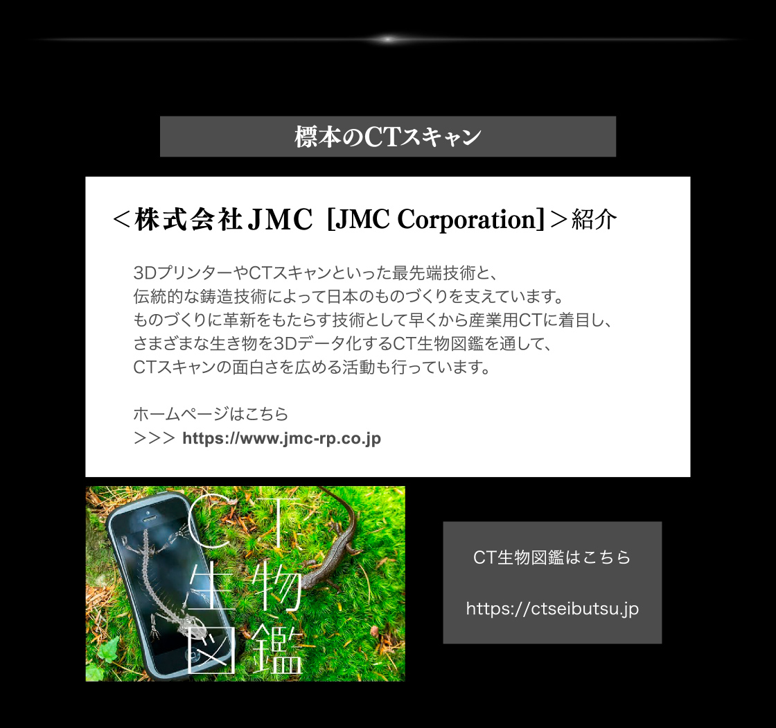 標本のCTスキャン：株式会社JMC　CT生物図鑑はこちら