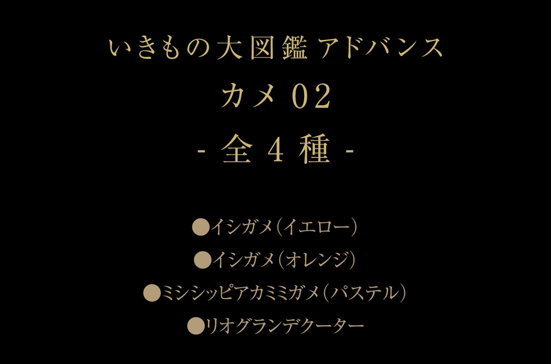 いきもの大図鑑アドバンス カメ02 -全4種- ●イシガメ(イエロー) ●イシガメ(オレンジ) ●ミシシッピアカミミガメ(パステル) ●リオグランデクーター