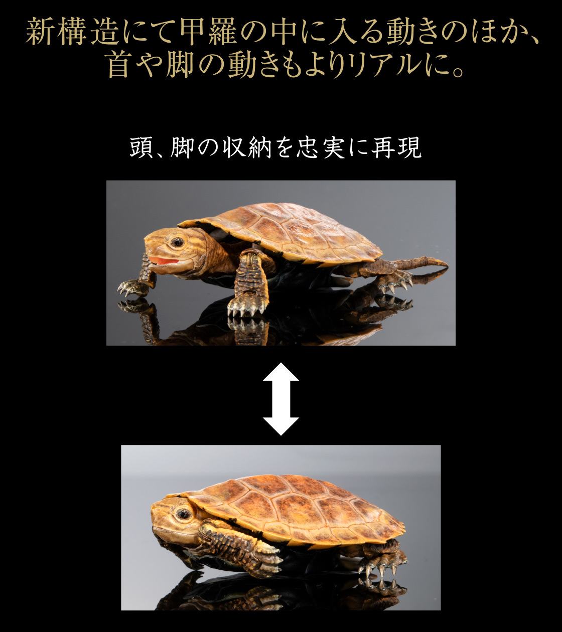 新構造にて甲羅の中に入る動きのほか、首や脚の動きもよりリアルに。