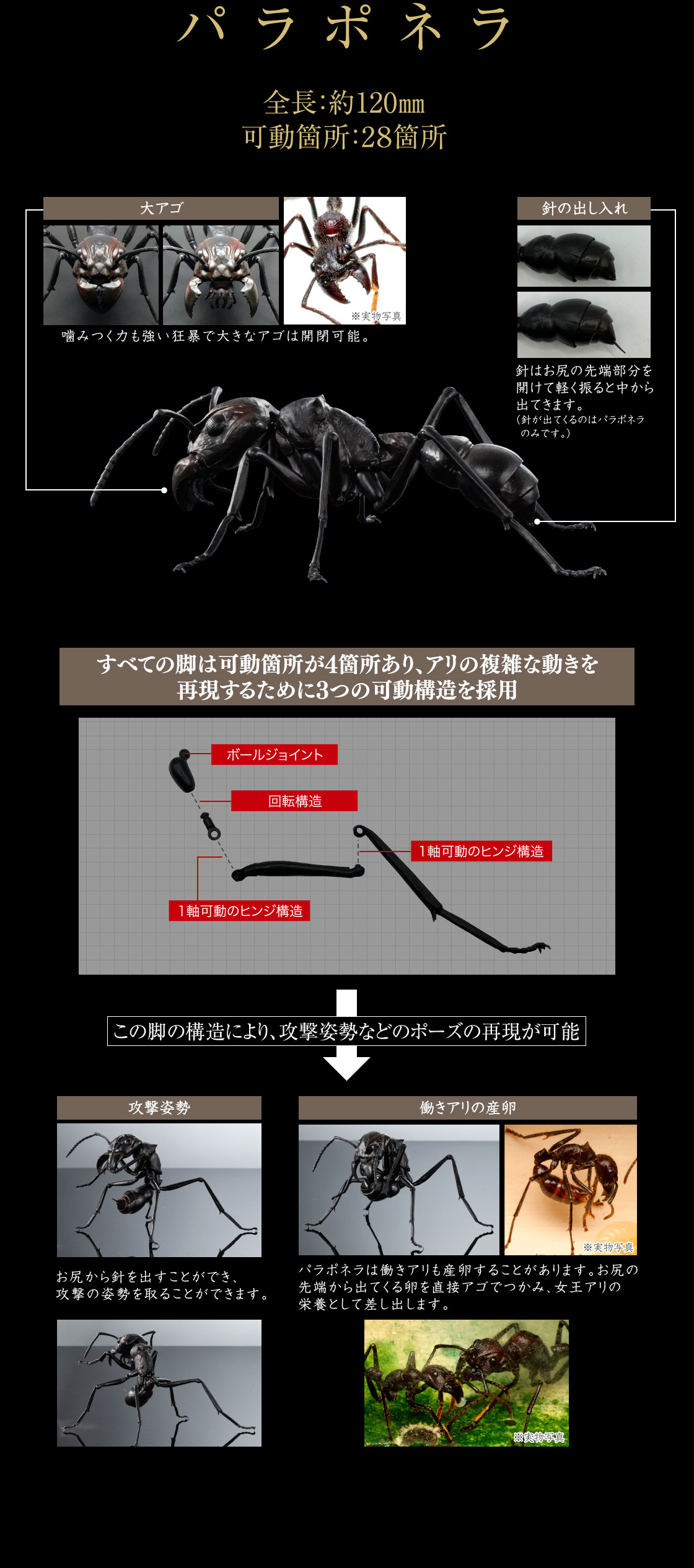 いきもの大図鑑 あり いきもの大図鑑 ガシャポンオフィシャルサイト いきもの大図鑑 あり いきもの大図鑑 ガシャポンオフィシャルサイト