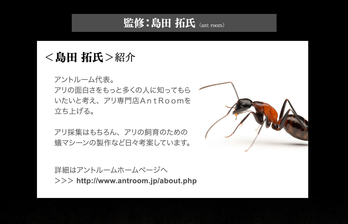いきもの大図鑑 あり いきもの大図鑑 ガシャポンオフィシャルサイト いきもの大図鑑 あり いきもの大図鑑 ガシャポンオフィシャルサイト