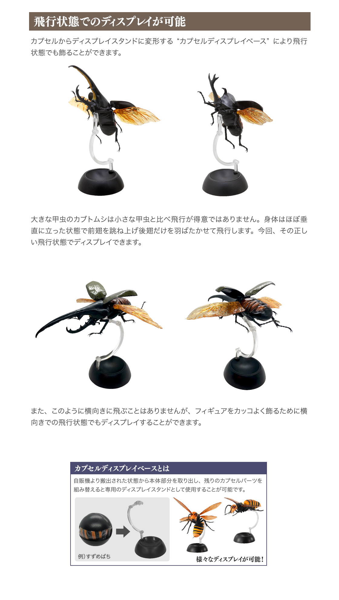 かぶとむし いきもの大図鑑 ガシャポンワールド かぶとむし いきもの大図鑑 ガシャポンワールド
