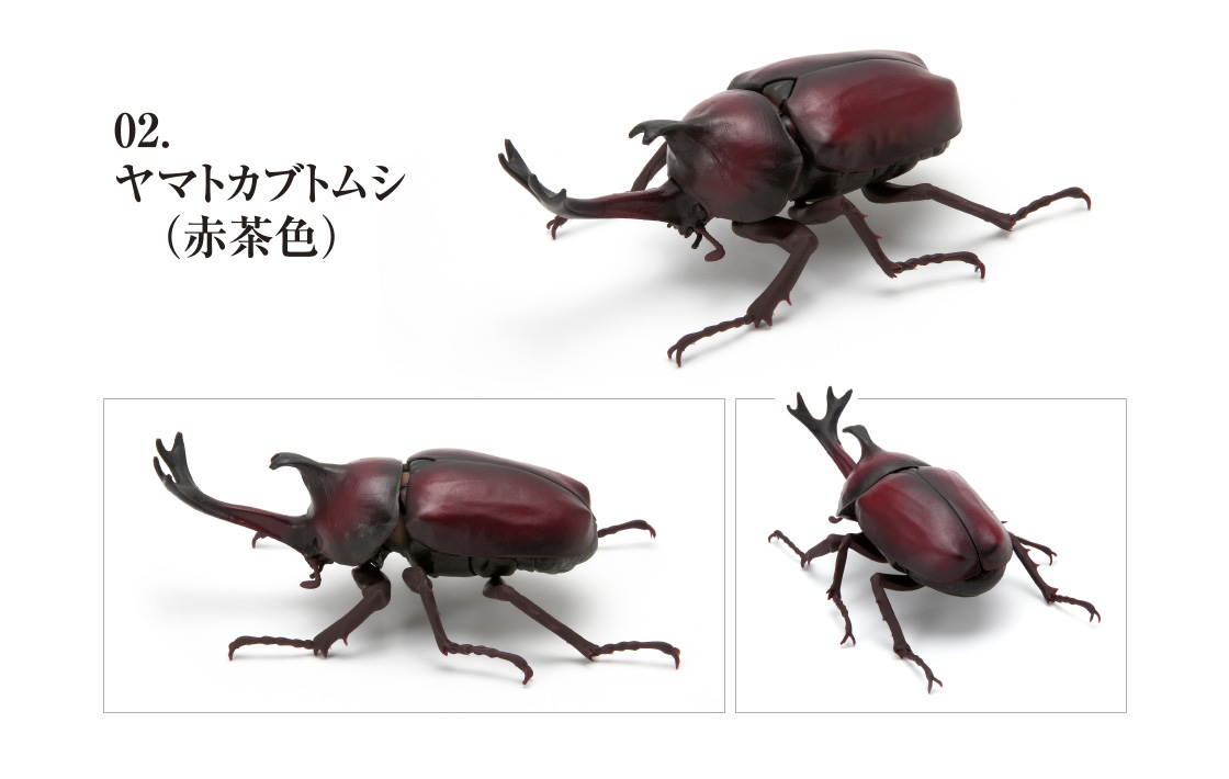 かぶとむし いきもの大図鑑 ガシャポンオフィシャルサイト かぶとむし いきもの大図鑑 ガシャポンオフィシャルサイト