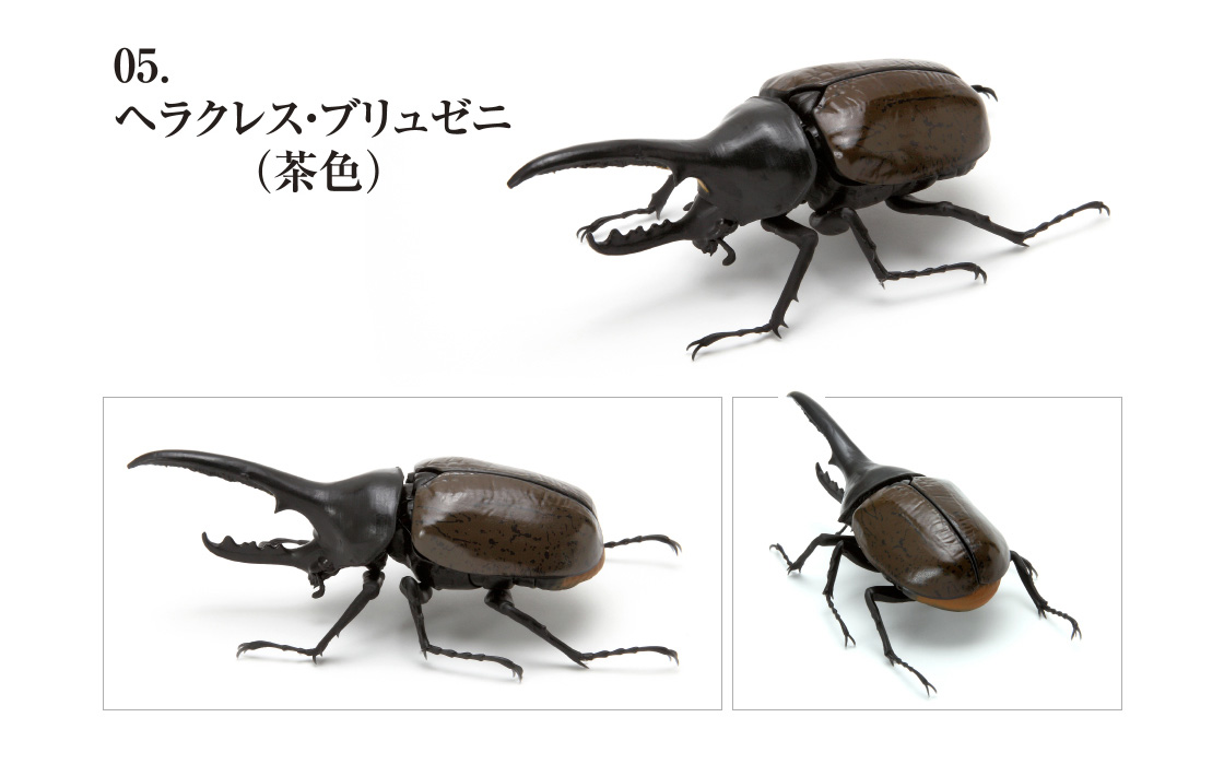 かぶとむし いきもの大図鑑 ガシャポンオフィシャルサイト かぶとむし いきもの大図鑑 ガシャポンオフィシャルサイト