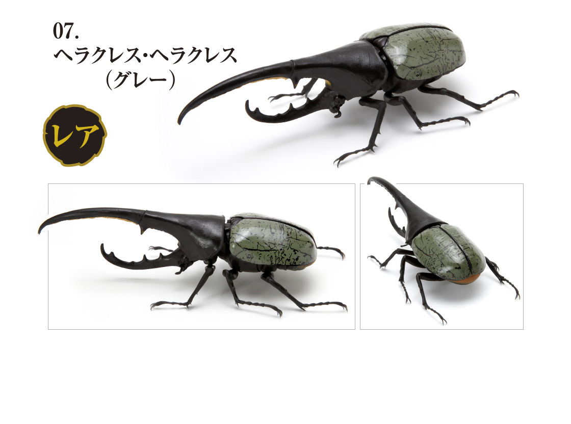 ミヤマクワガタ マンディブラリス いきもの大図鑑くわがた02 生き物