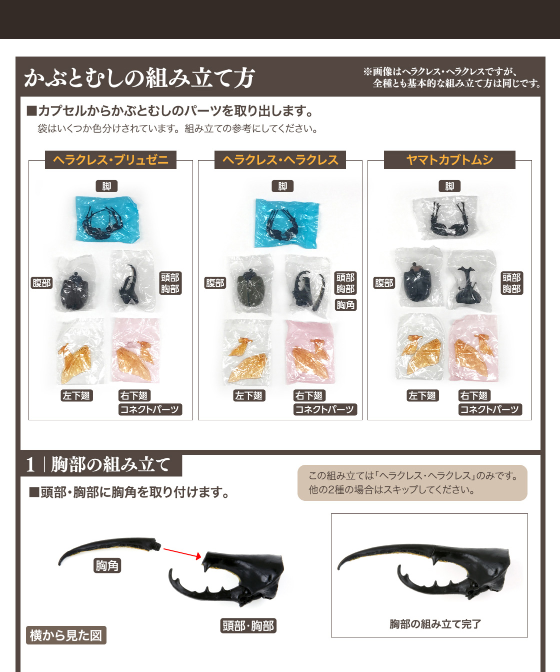 かぶとむし いきもの大図鑑 ガシャポンワールド かぶとむし いきもの大図鑑 ガシャポンワールド